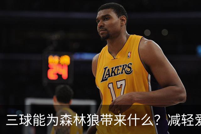 三球能为森林狼带来什么？减轻爱德华兹单打负担 麦丹能惩罚对手
