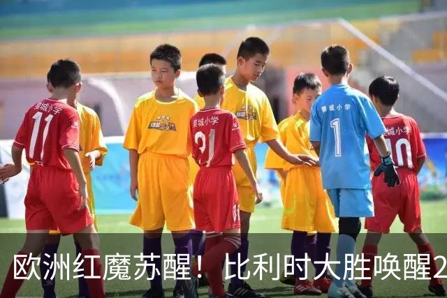 欧洲红魔苏醒！比利时大胜唤醒2018记忆 世界杯可能搅局？