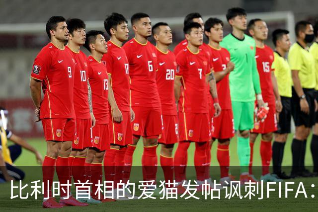 比利时首相的爱猫发帖讽刺FIFA：“红牌？”我照样继续踢！